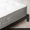 Laurel Queen Mattress -Cb2 Pop Shop LaurelFullMattressSHF18 1x1